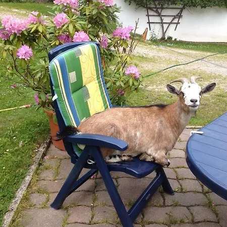 Daire Ingrid Radmer an der Hasel