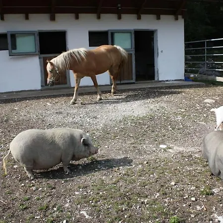 דירה Ingrid Radmer an der Hasel