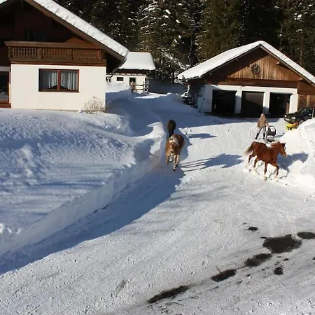 Ingrid Daire Radmer an der Hasel