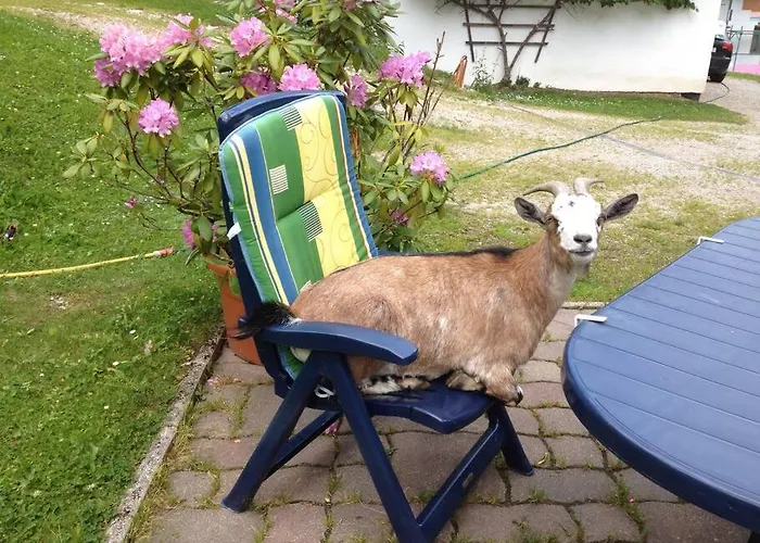 Apartmán Ingrid Radmer an der Hasel