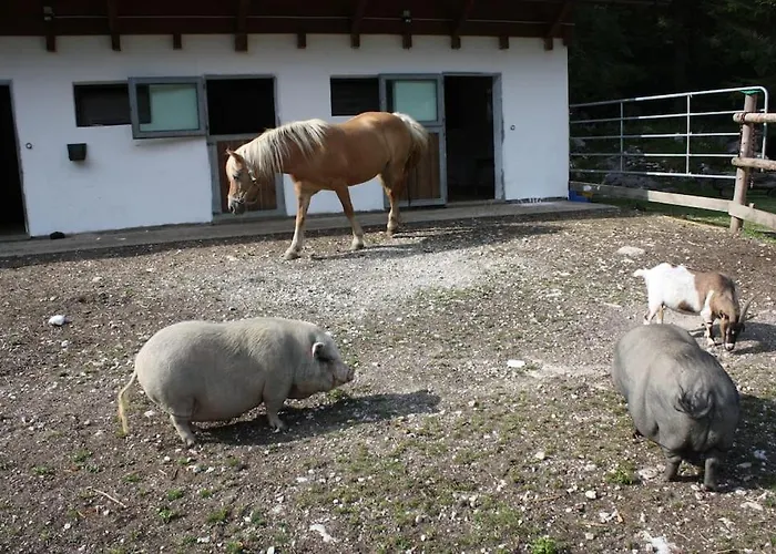 Apartmán Ingrid Radmer an der Hasel