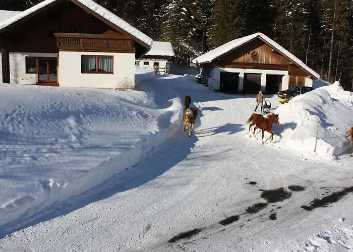 Ingrid Apartman Radmer an der Hasel